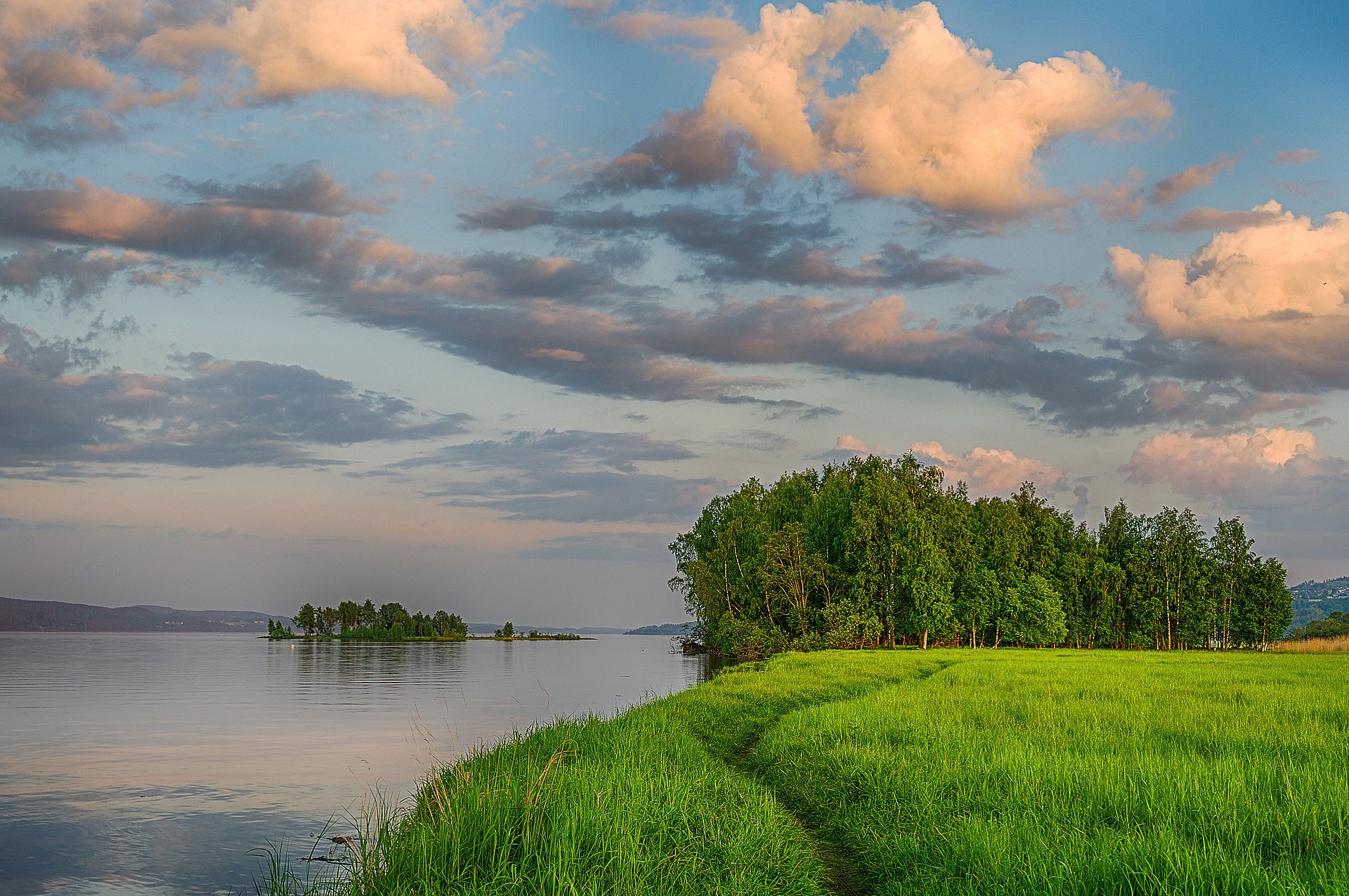 nature river island trees grass green