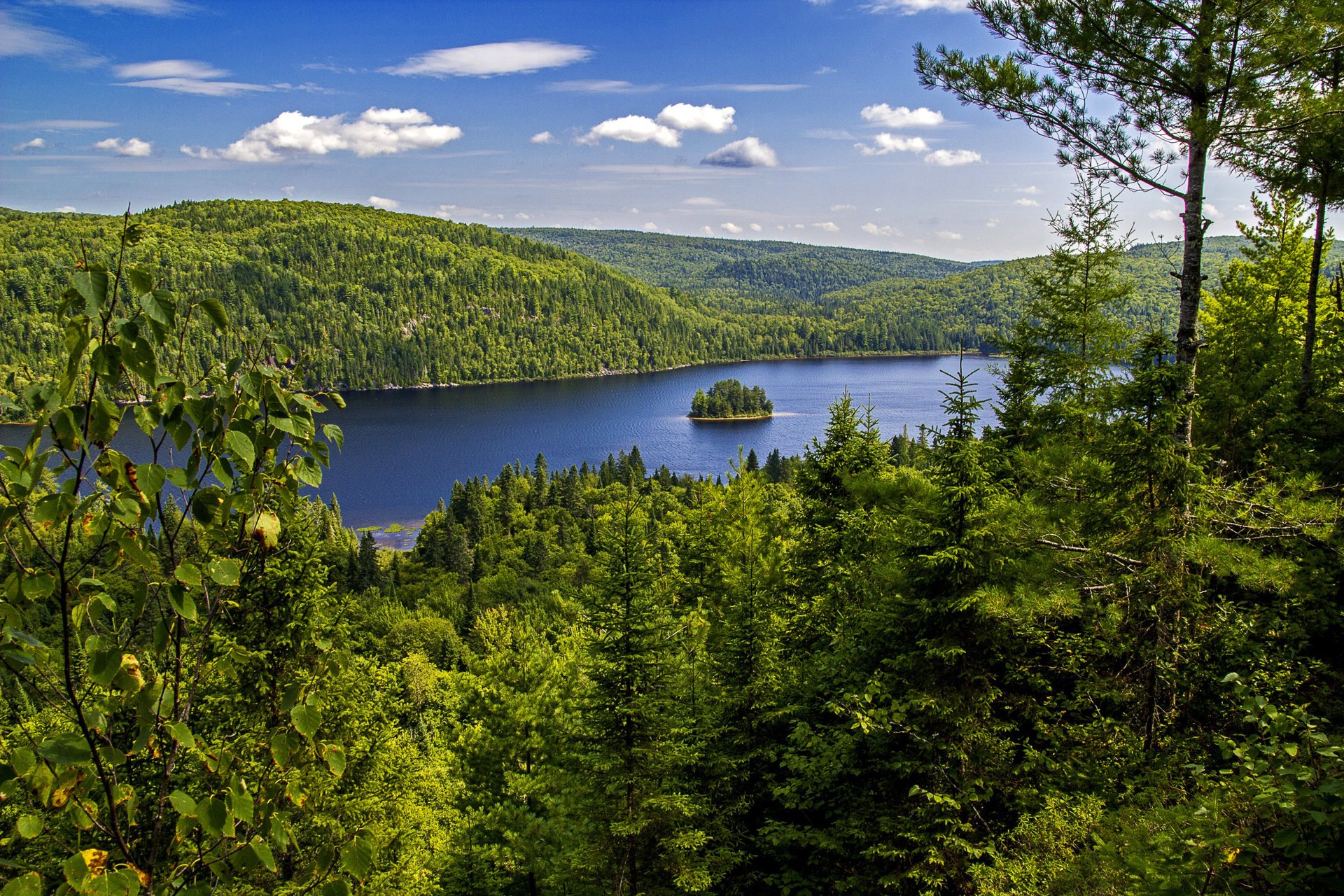 naturaleza canadá parque nacional bosque lago isla