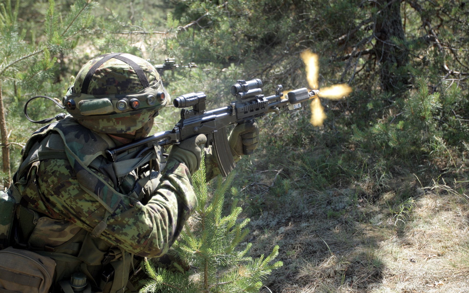 armée estonienne soldat arme