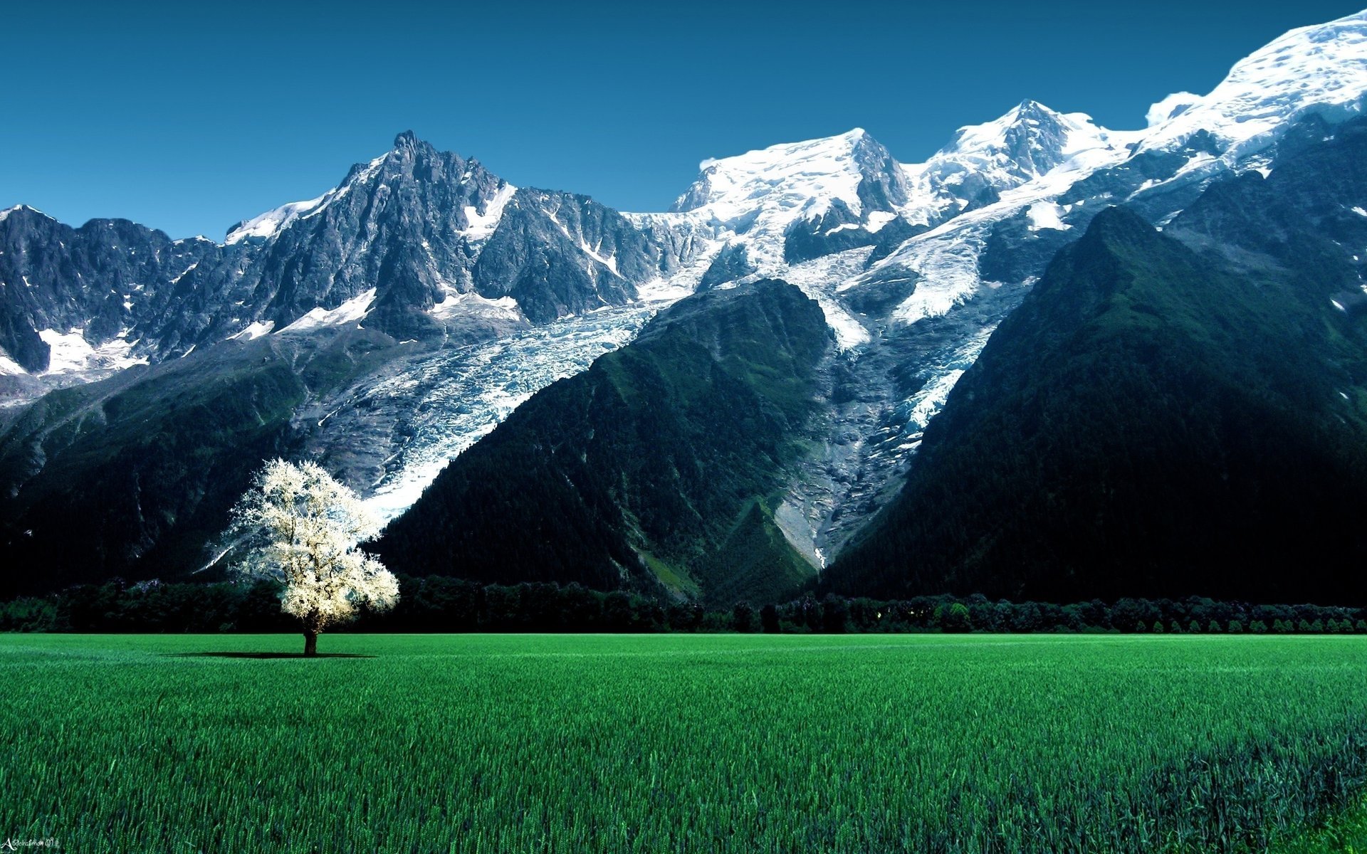 fields skies пейзажи горы поля природа небо nature mountains трава grass trees деревья