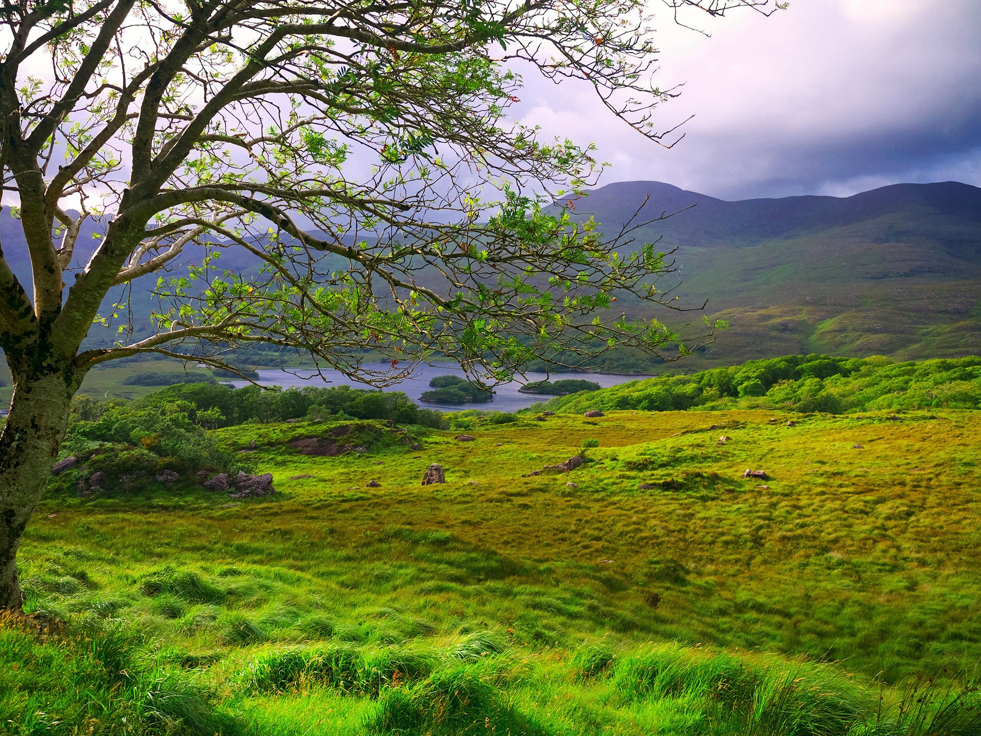 ladies view clare killarney irlande