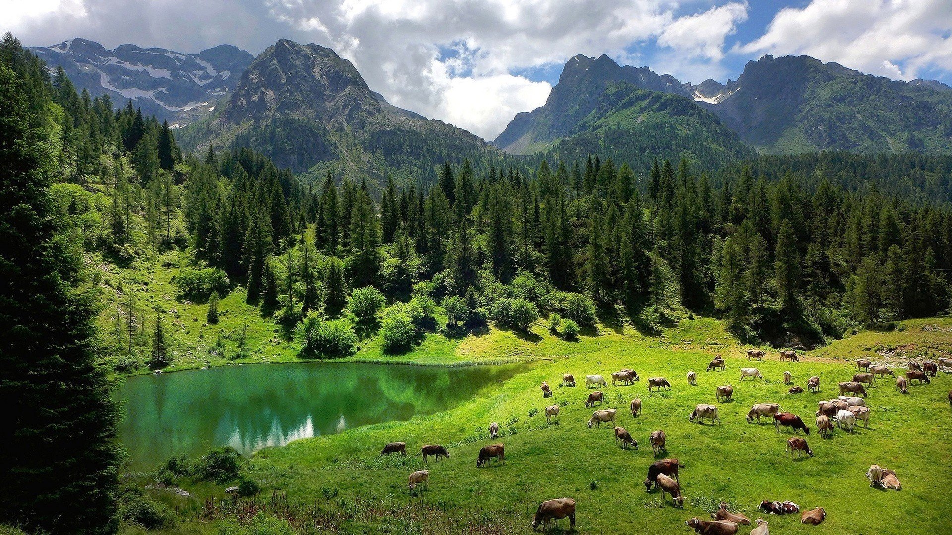 nature alps forest beautiful lake