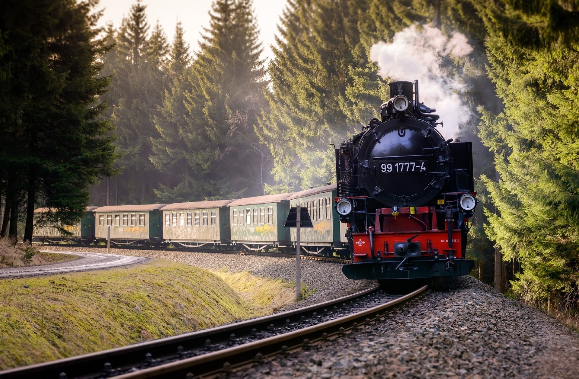 tren composición bosque