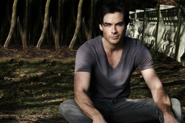 Wallpaper ian somerhalder Vampirtagebücher