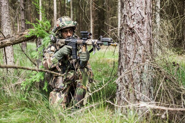 Soldat de l armée dans la forêt en mission