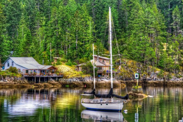 Houses in a green area on the lake shore