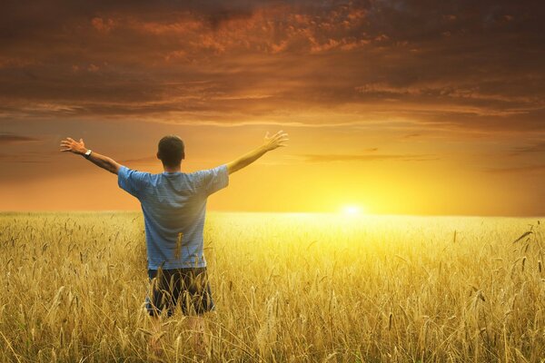 Homme sur un champ de blé au coucher du soleil