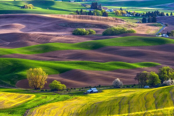 La llanura de montaña está pintada con campos de verde lavanda y canola