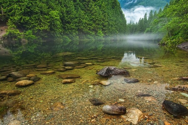 Hermosa vista del río de montaña con agua clara