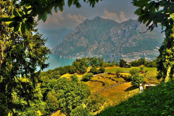 Beautiful landscape: plants, mountains, river