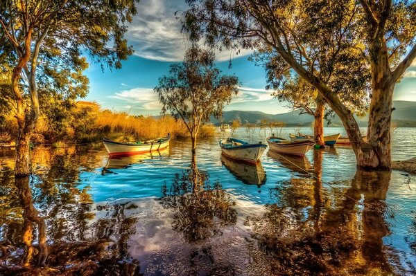 Naturaleza otoñal: barcos en el lago