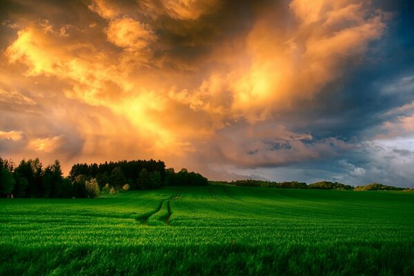 Country road on the background of sunset