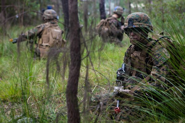 U.S. Marine Corps in the Woods