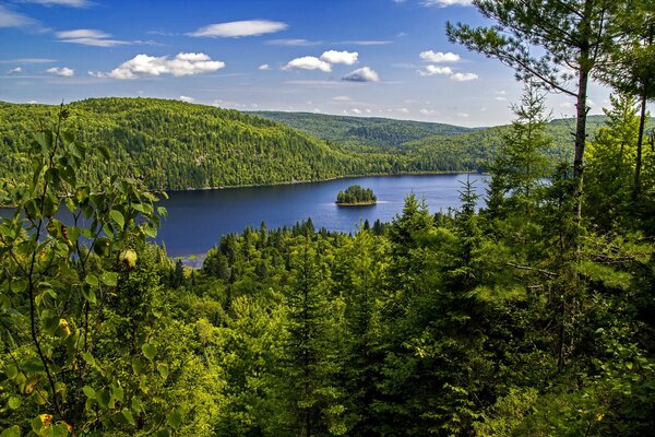 Îlot sur le lac dans le parc National du Canada