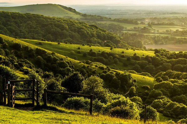 Paysage vert du Sussex de l ouest de l Angleterre