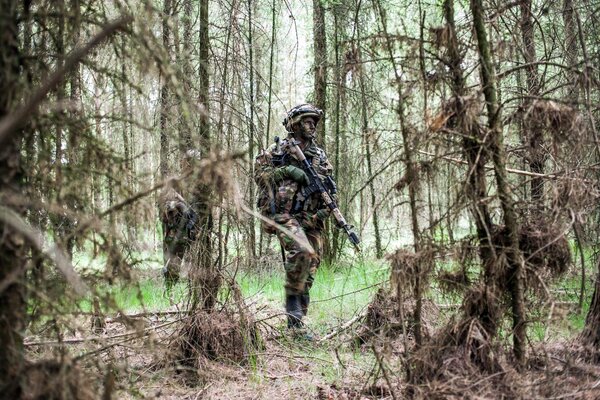 Soldats de l armée royale dans la forêt