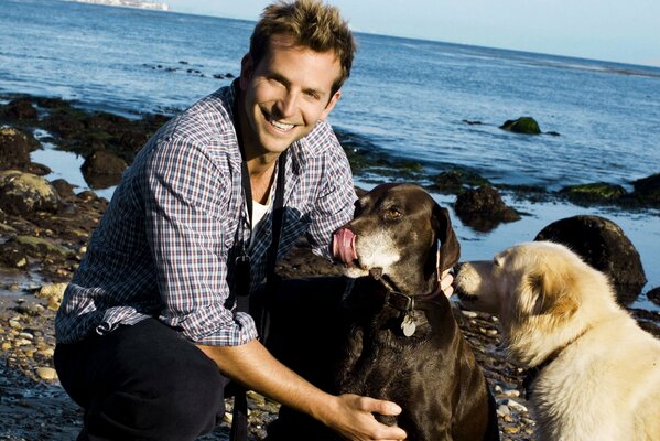 Two dogs and Bradley Cooper on the shore