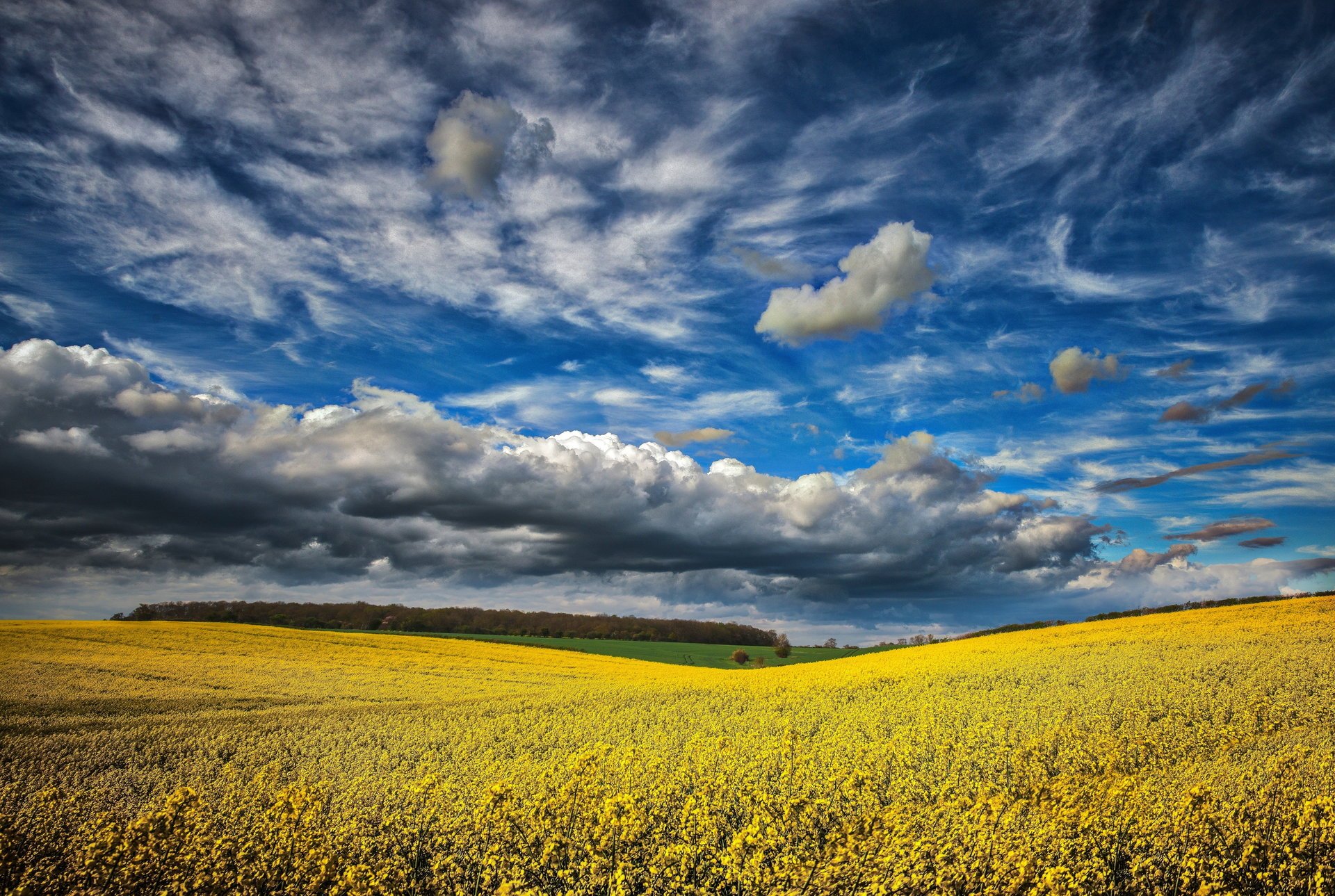 temporale primavera campo elemento