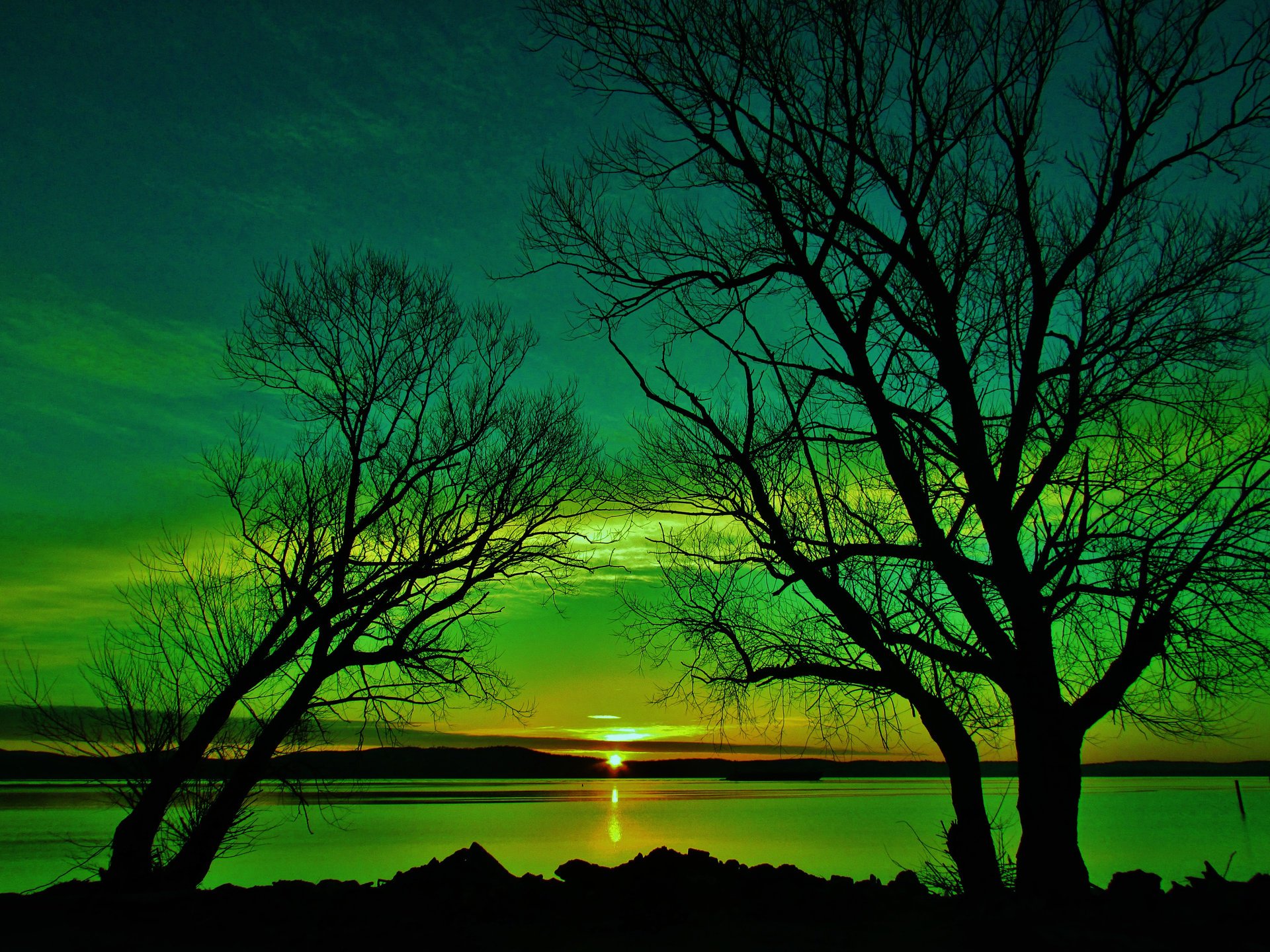 lago árboles puesta de sol