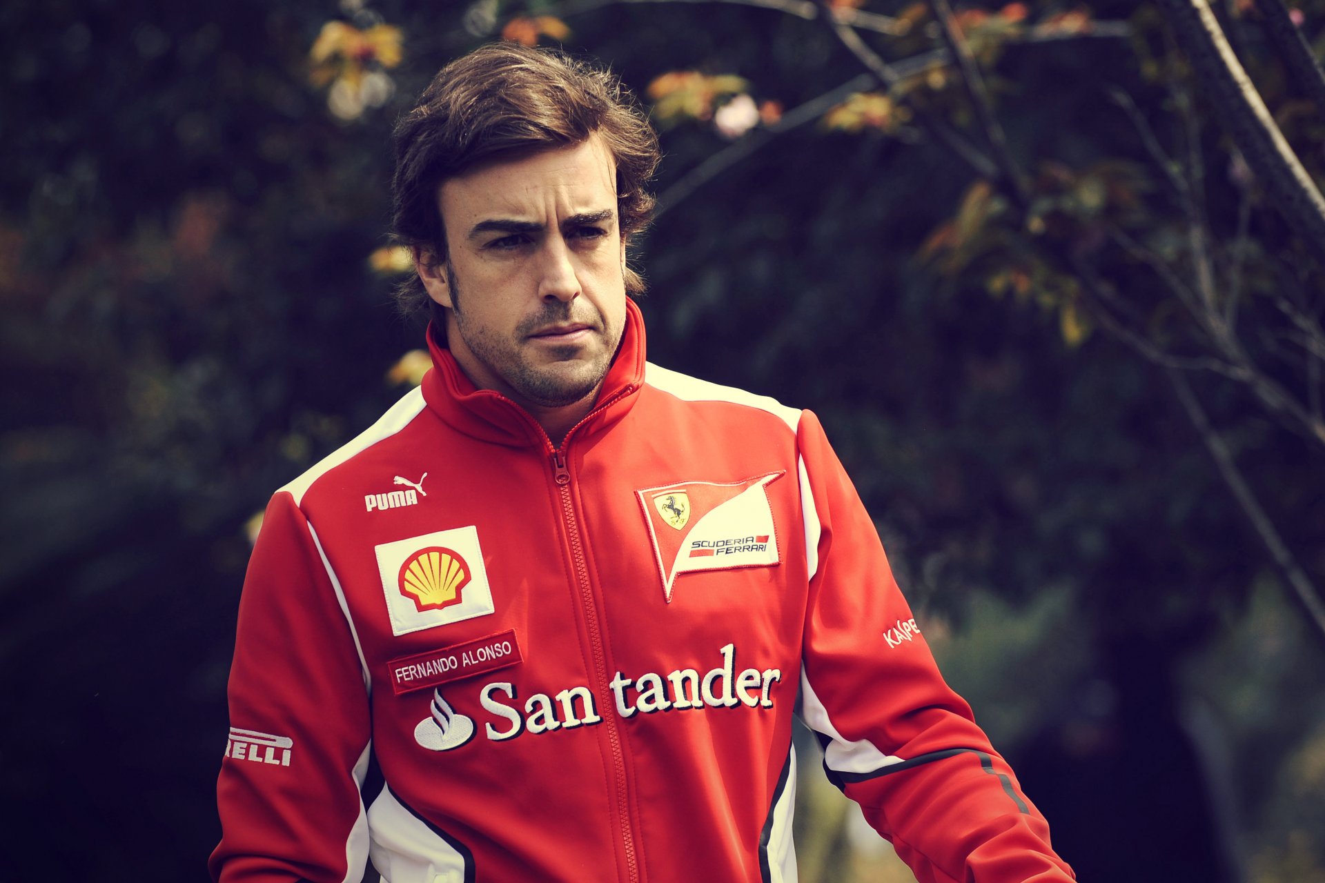 fernando alonso piloto fórmula fórmula 1 ferrari ferrari