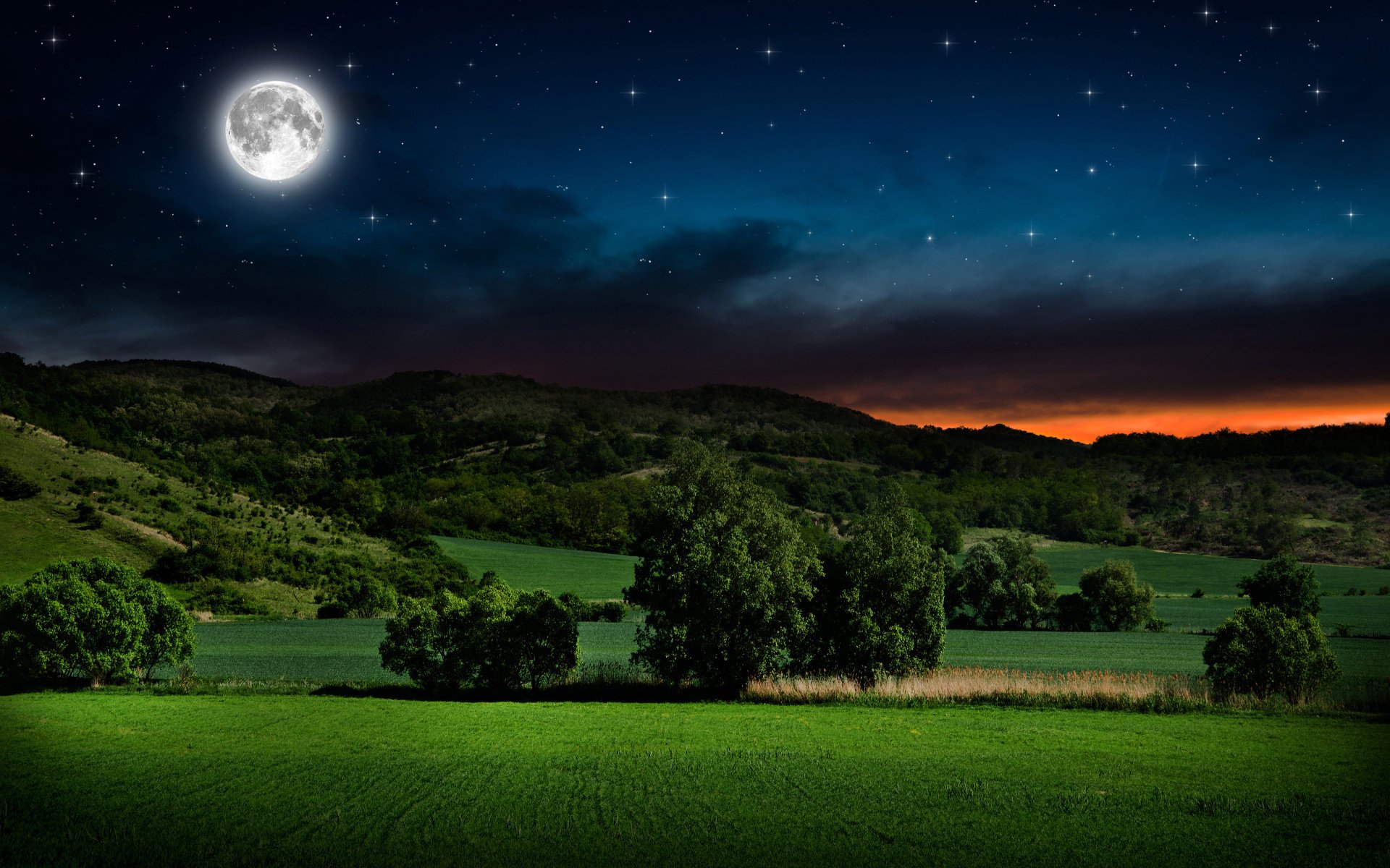 nature summer night stars beautiful