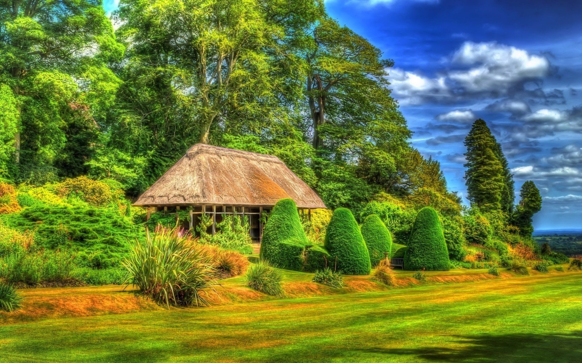 ummer forest gazebo nature