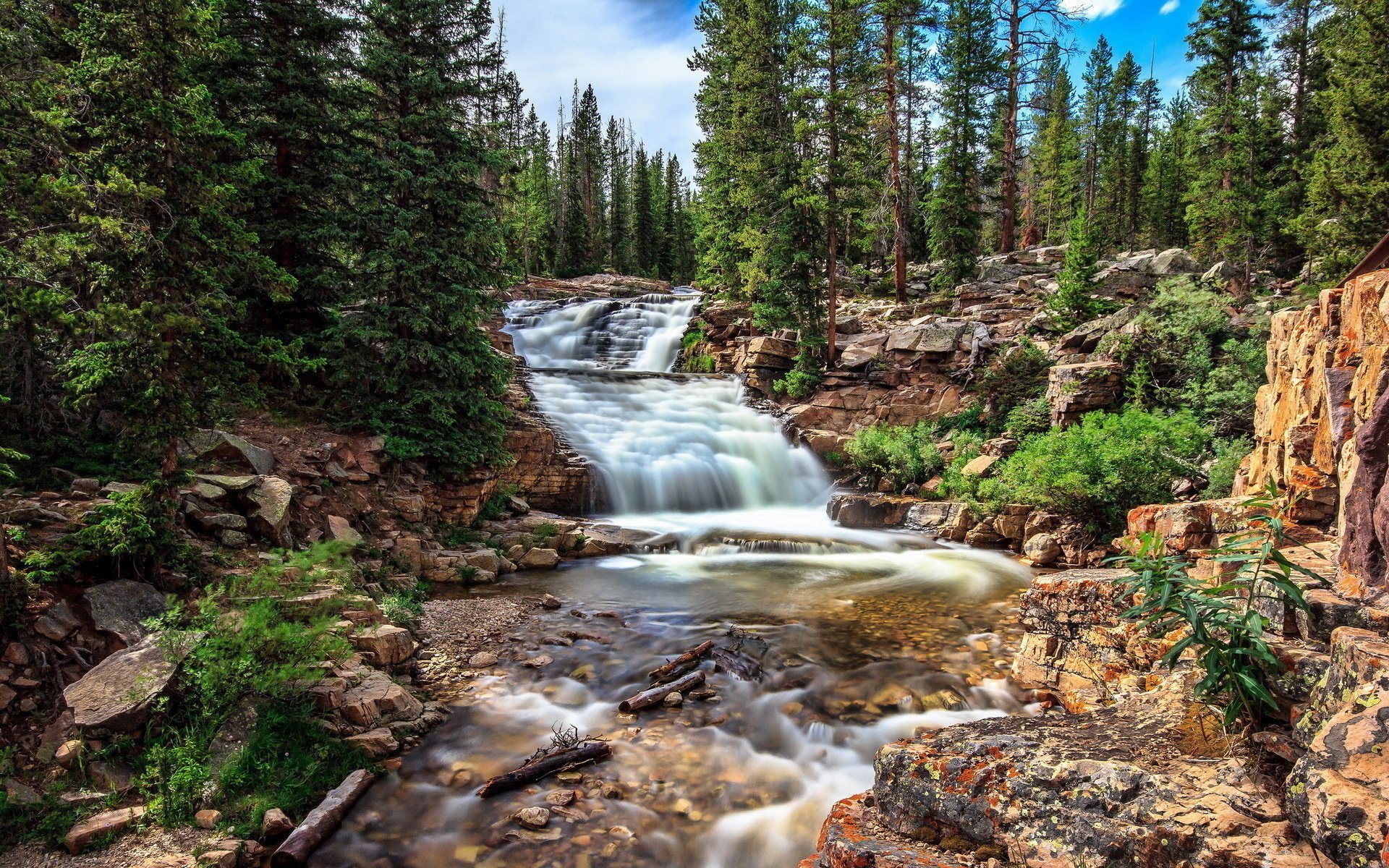 fluss wald natur