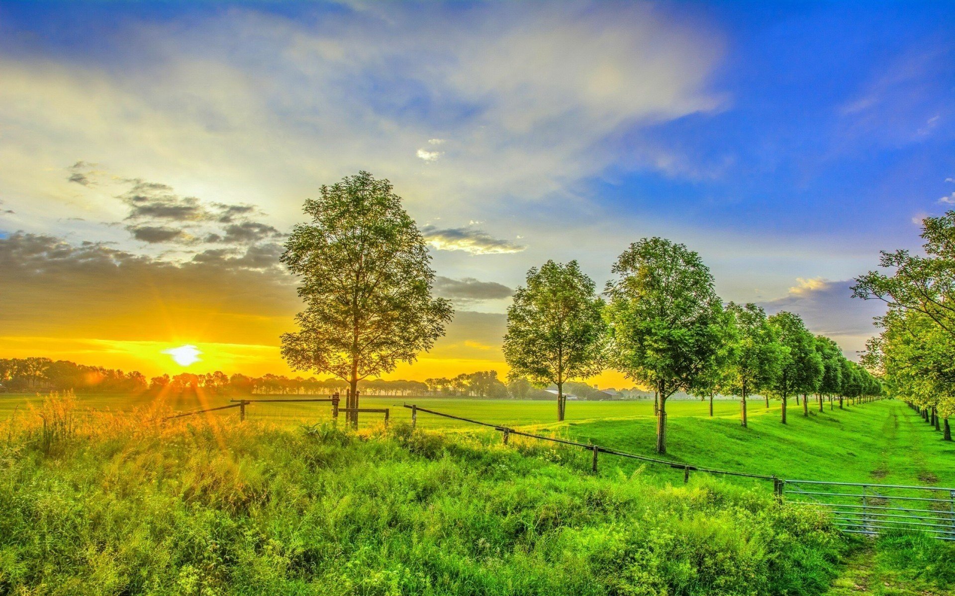 sommer garten sonnenuntergang schön