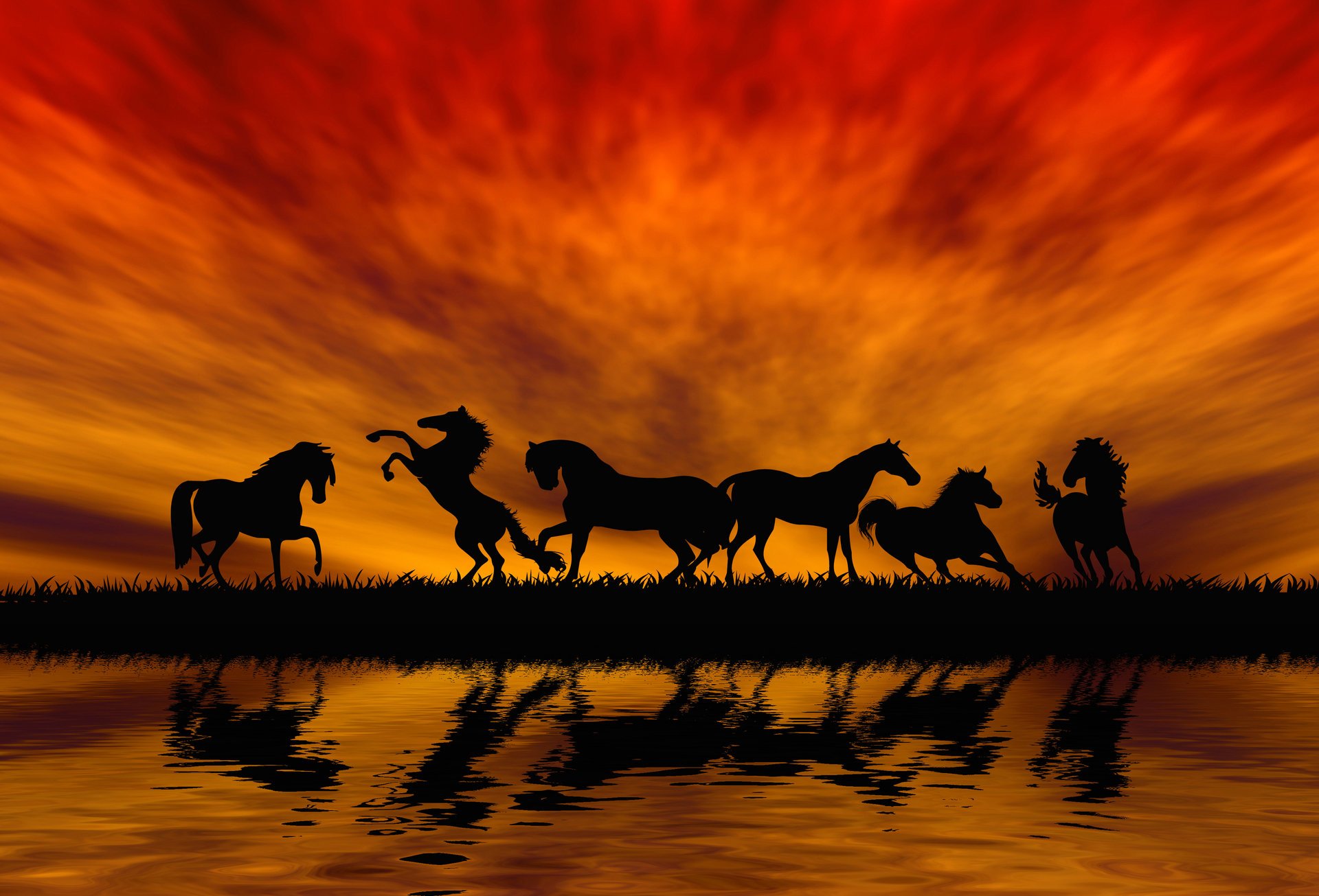 caballos puesta de sol salto silueta animales