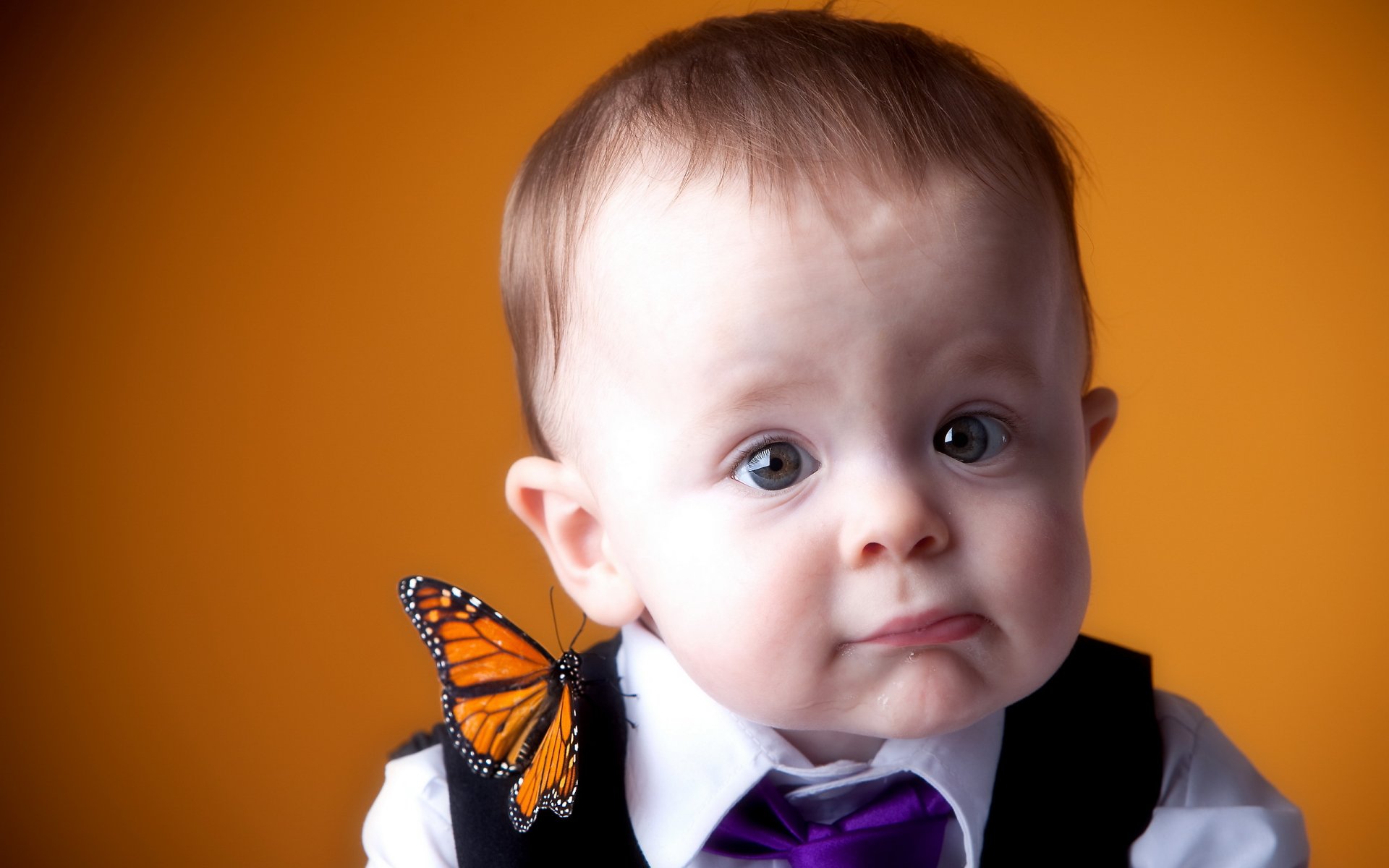 junge porträt schmetterling stimmung