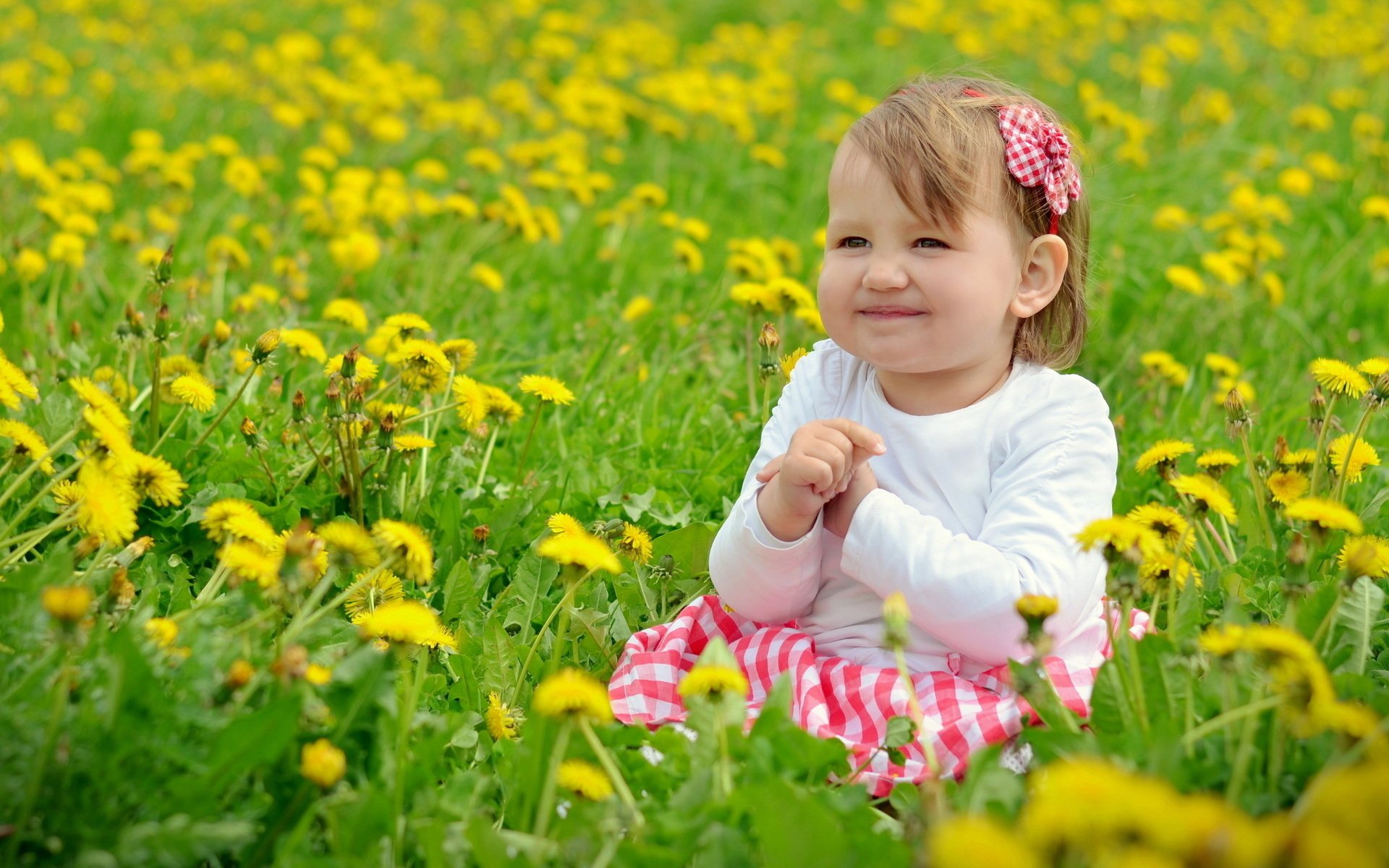 girl dandelions summer mood