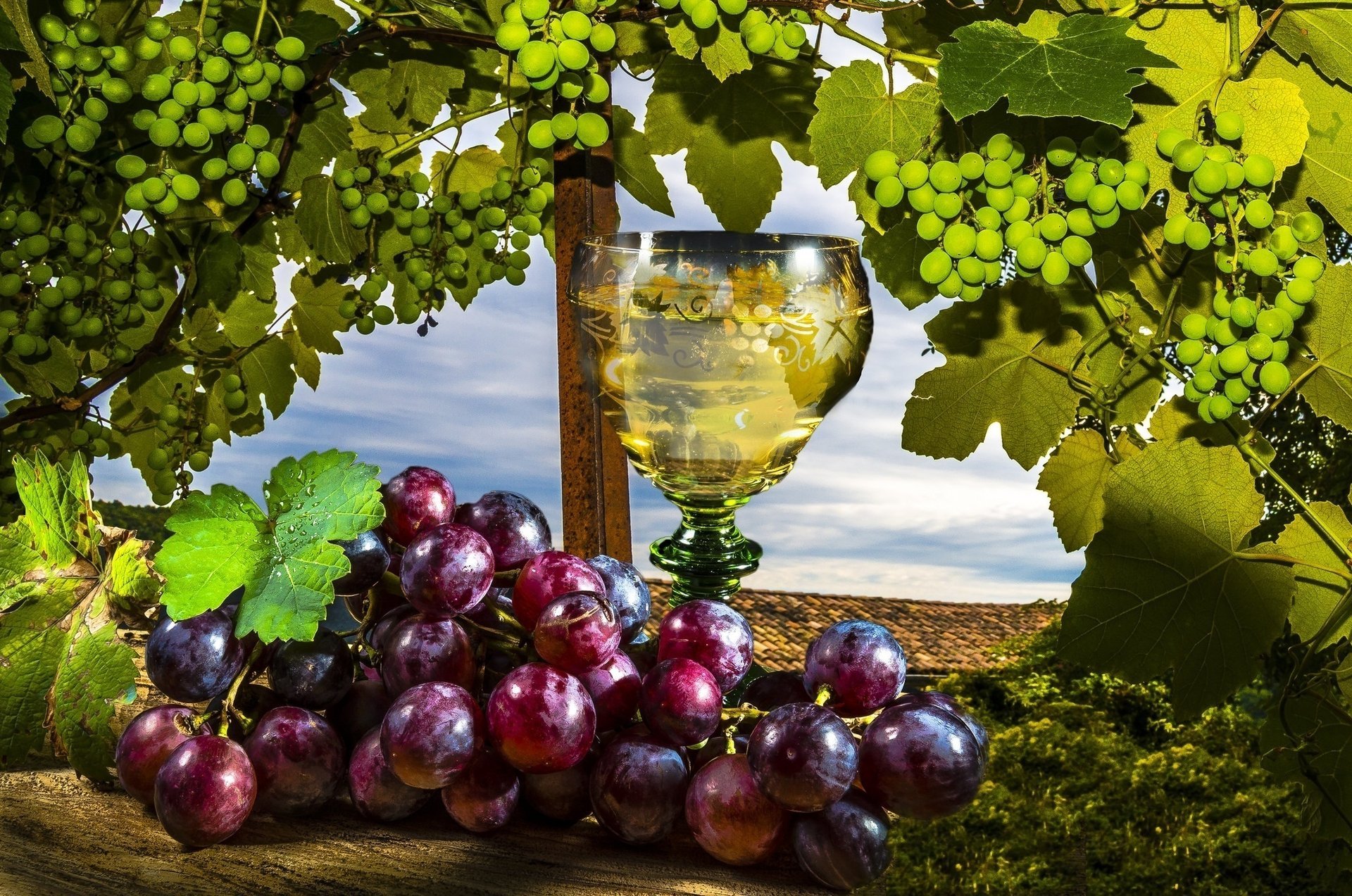 raisins vin verre feuilles