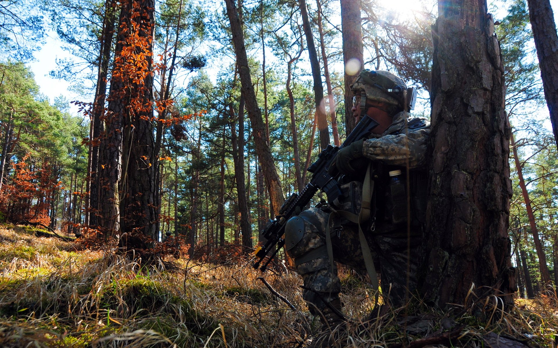 soldado armas bosque