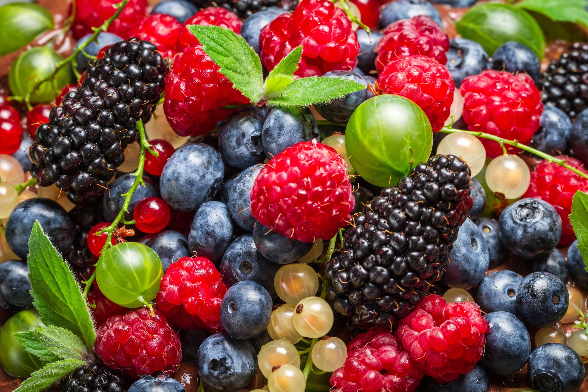 bayas arándanos moras frambuesas grosellas