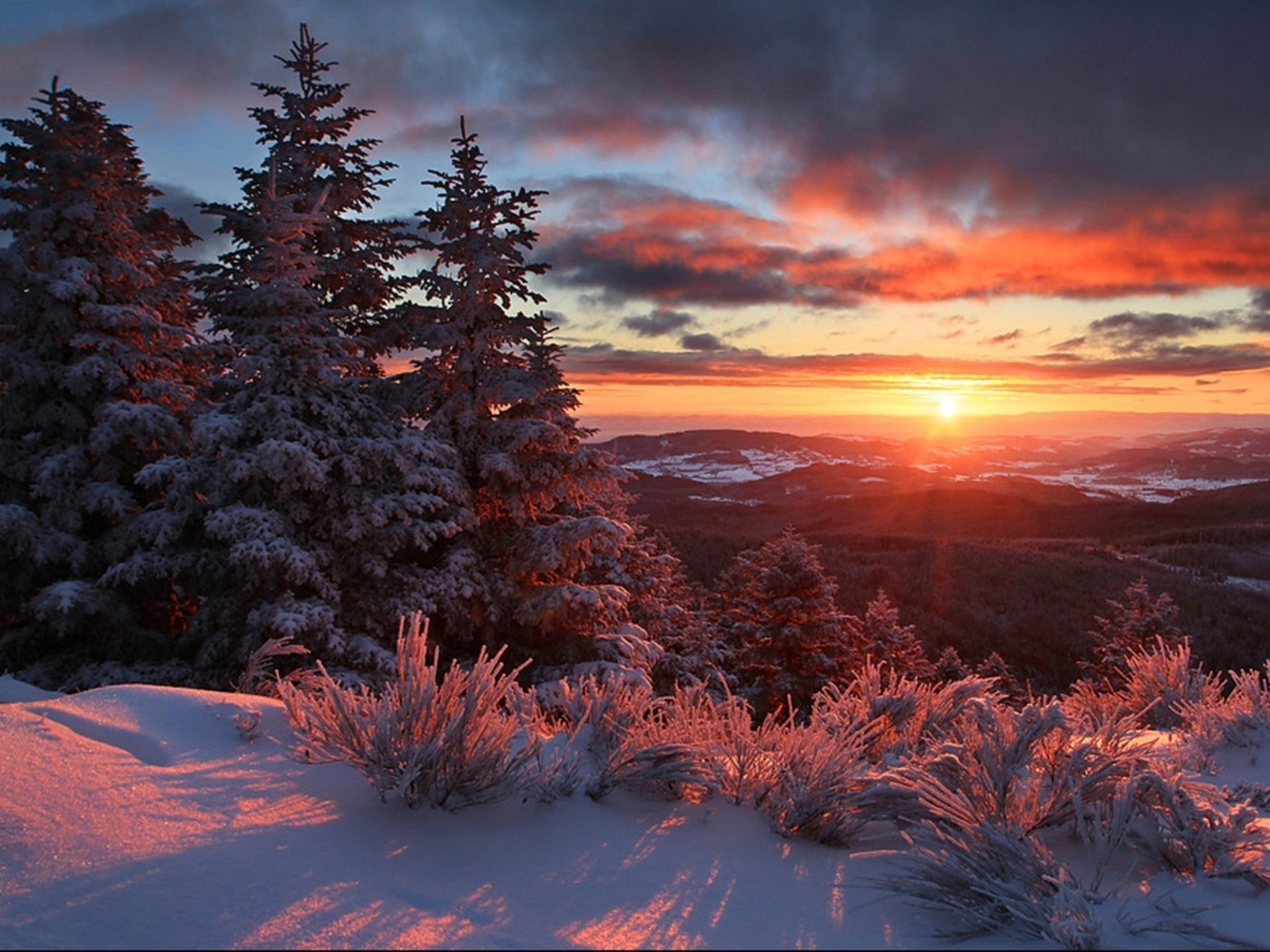 horizonte puesta de sol abeto nieve invierno nubes