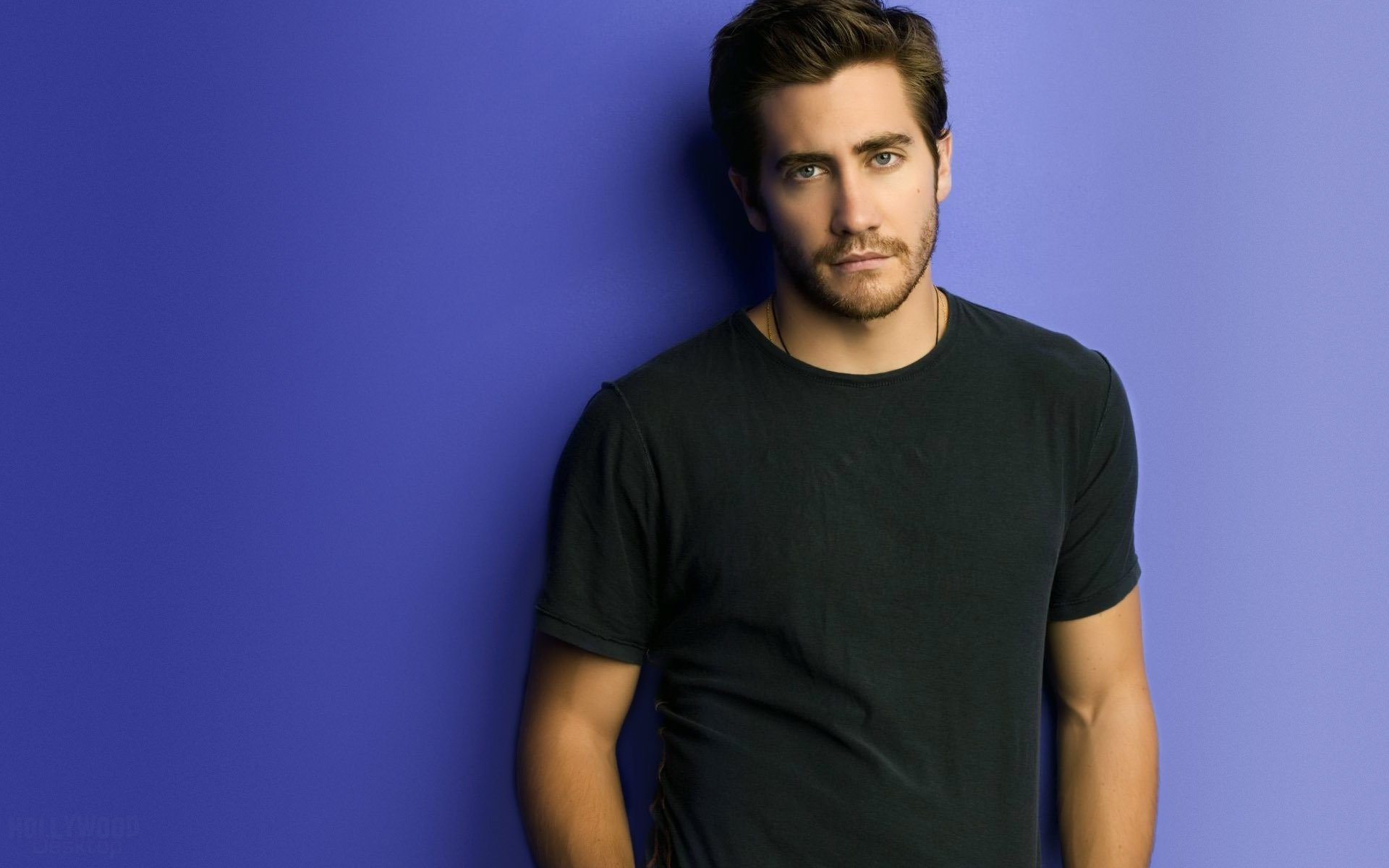 jake gyllenhaal attore uomo principe di persia sfondo brunet