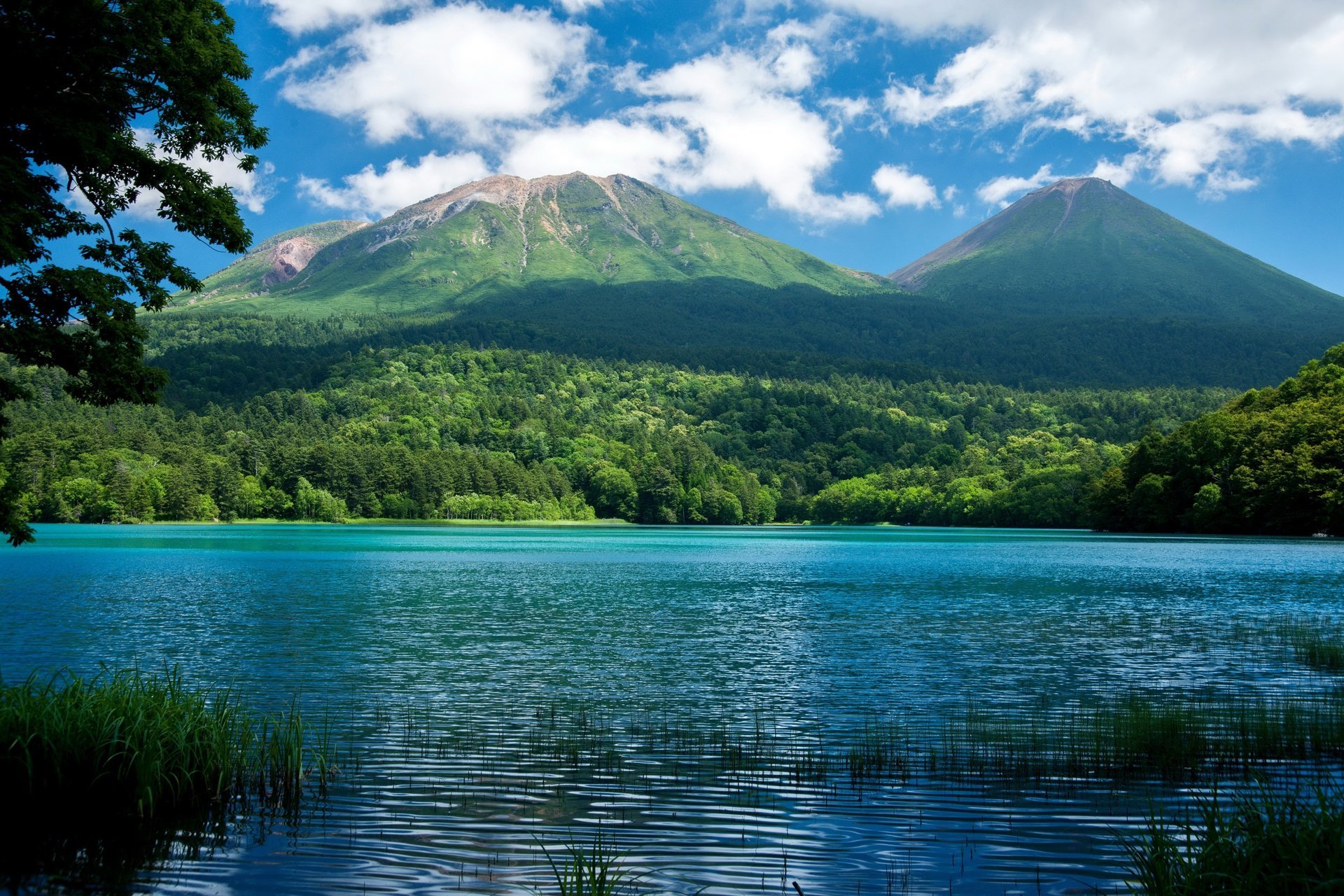 naturaleza montañas lago bosque