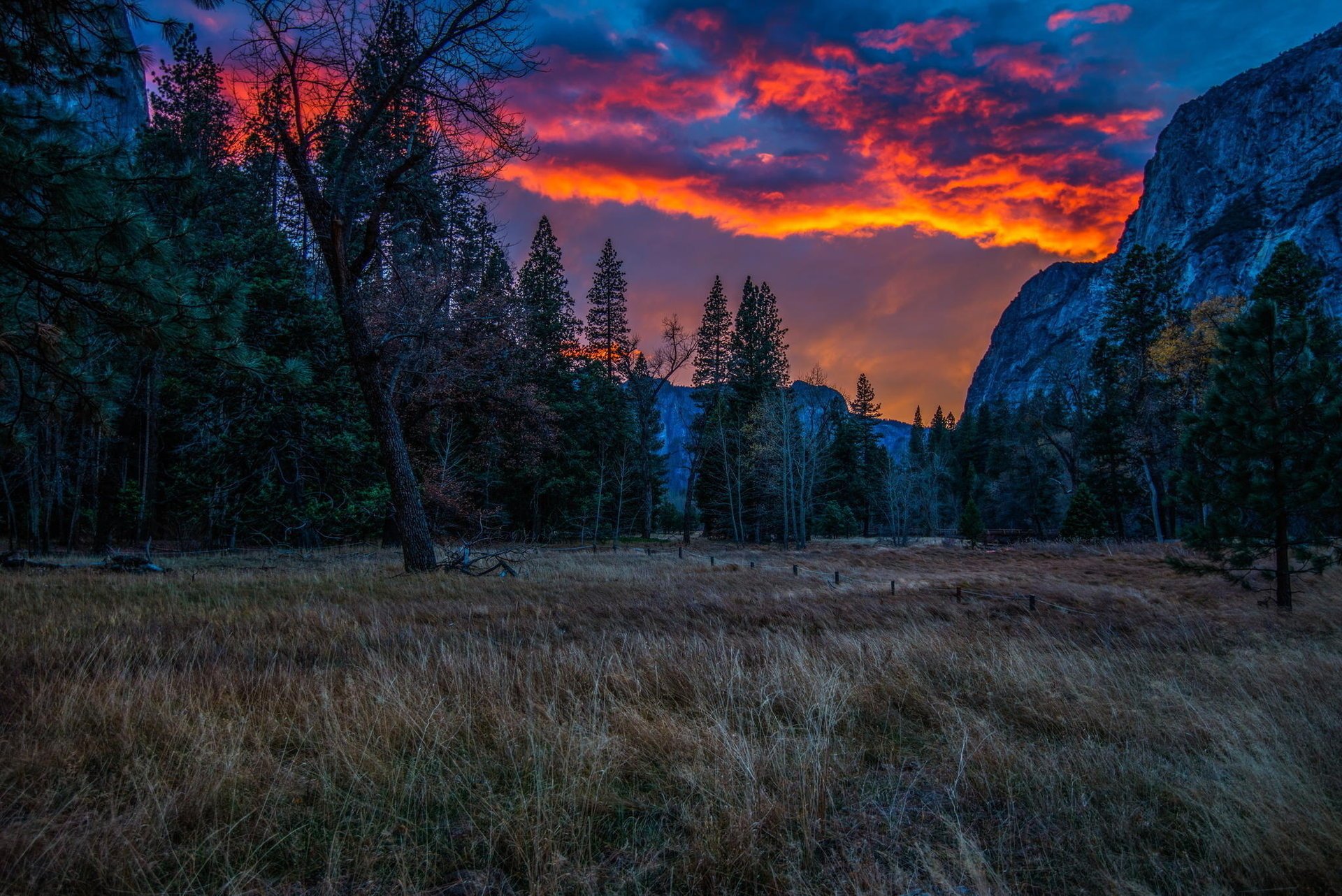 montagne tramonto foresta parco alberi natura