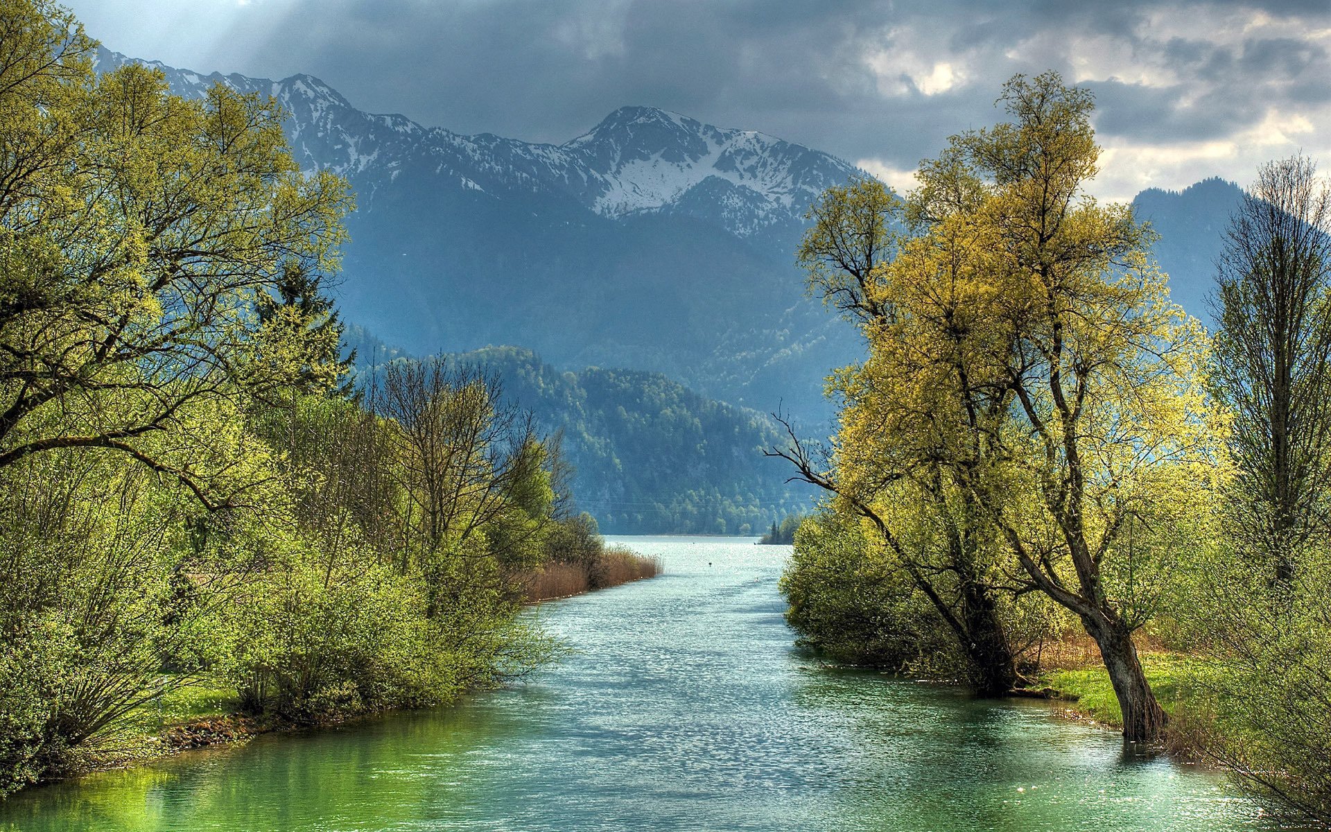 mountains forest river