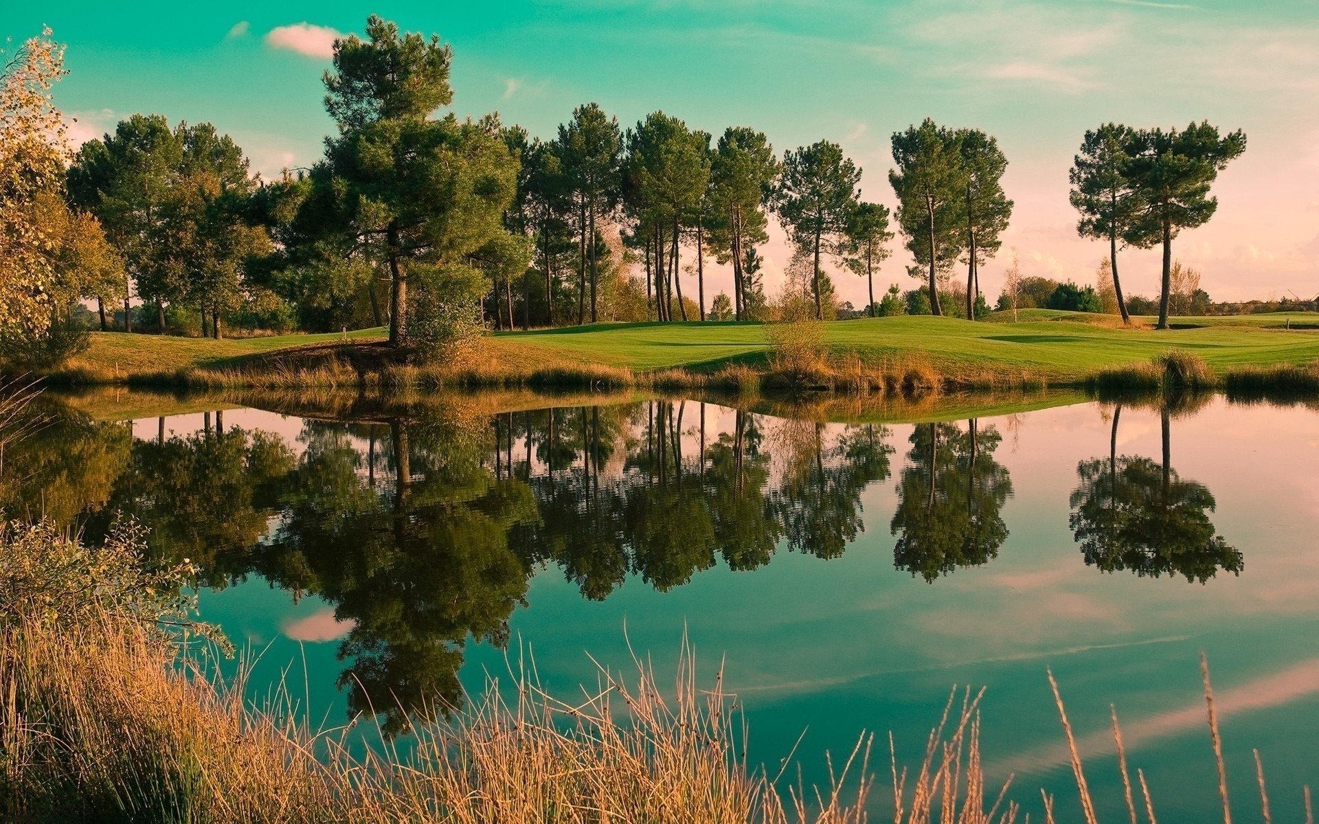 lago verano árboles naturaleza