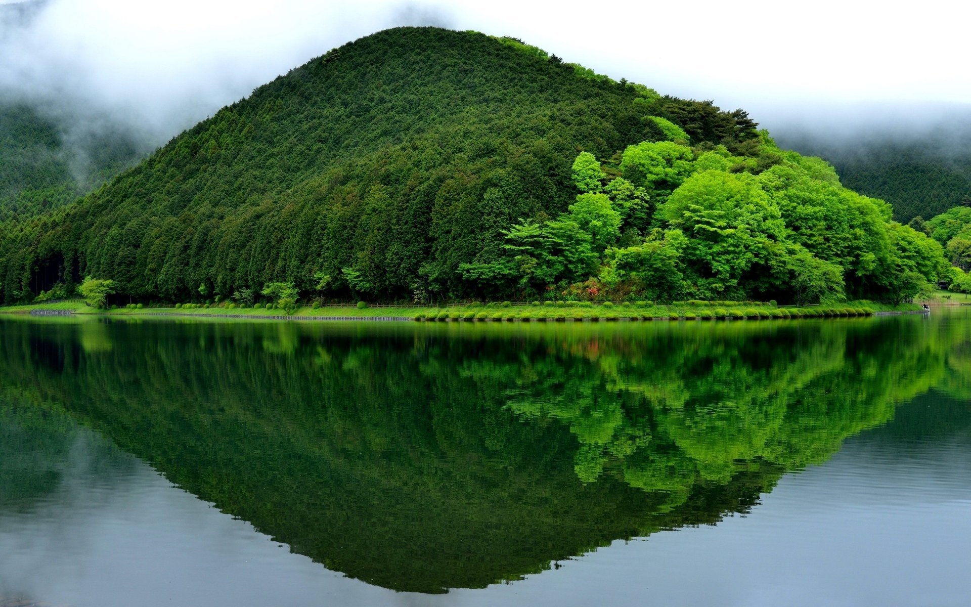 mountain forest lake