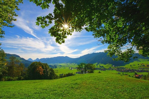 Sonniger Sommertag in der Natur