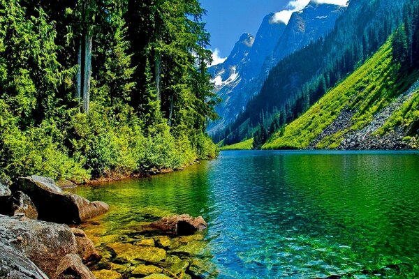 Berge und Wald spiegeln sich im Fluss wider