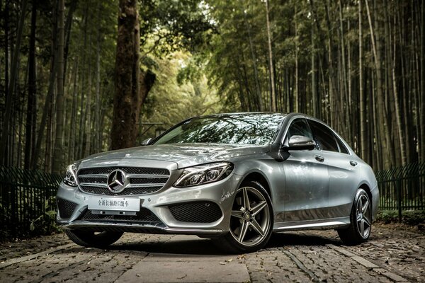 Mercedes argent sur la route forestière