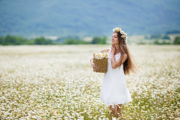 Brown-haired woman in a white dress in a chamomile field