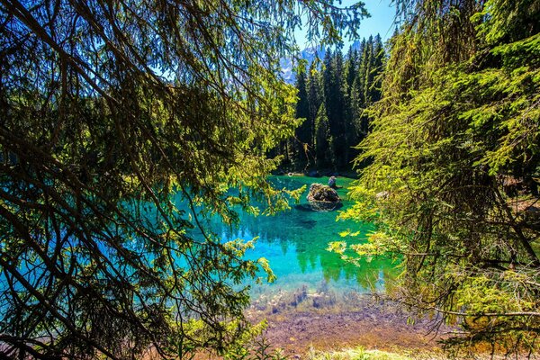 Lago azul en medio del bosque