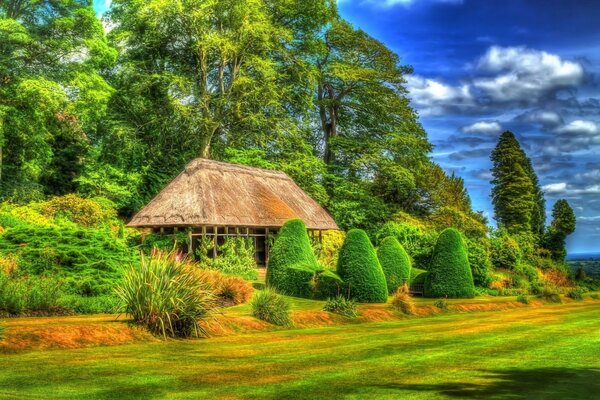 Casa de verano en medio del bosque en el regazo de la naturaleza