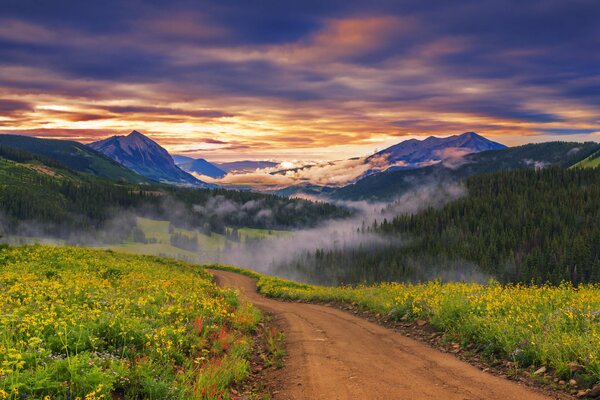 Misty fields at sunset