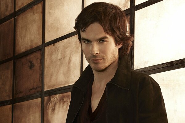 Schauspieler Ian Somerhalder . Damon aus den Vampirtagebüchern