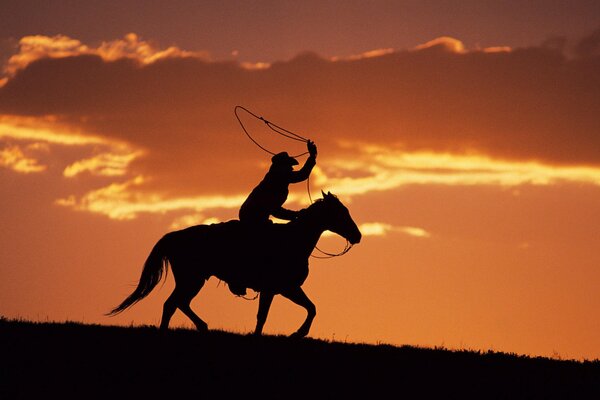 Silhouette eines Cowboys auf einem Pferd mit Lasso